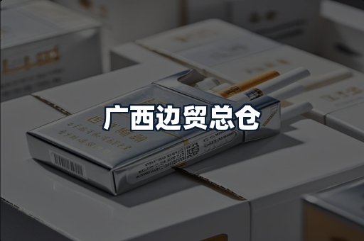 广西边贸总仓